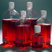 胎牛血清（辐照灭菌）