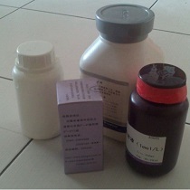 琼脂糖凝胶CL-2BSepharose CL-2B