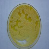 LB固体培养基粉剂