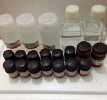 胰蛋白酶-EDTA消化液(0.25%，不含钙镁、含酚红)