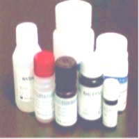 SP-琼脂糖凝胶HPSPSepharoseHP