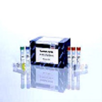 牛细胞色素P450(CYP450)elisa试剂盒