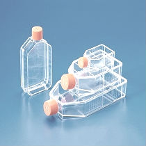 150c㎡透气培养瓶 corning