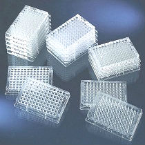 6孔 培养板 corning