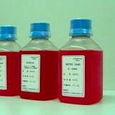 改良Hoagland's(霍格兰氏)营养液-大量元素(100×)(可配5升10升50升)