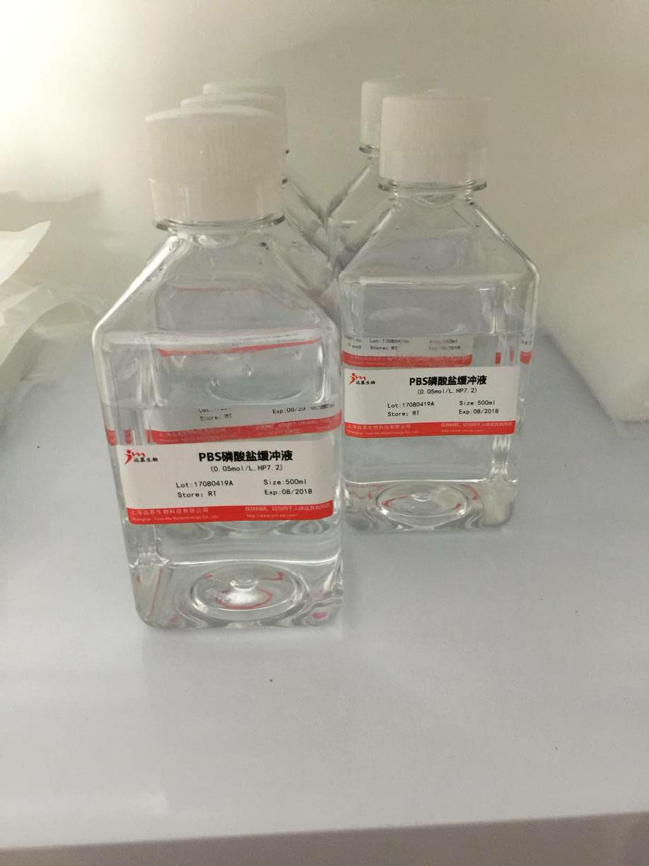 NP-40溶液(10%,无菌)
