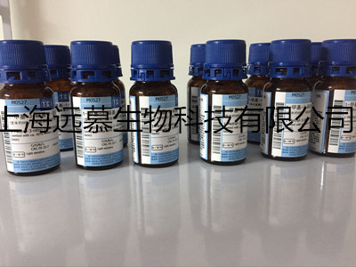 氨苄青霉素溶液(Ampicillin,50mg/ml)