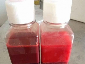 特级新生牛血清（无菌采制）