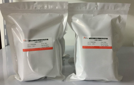 蛋白质的功效与作用