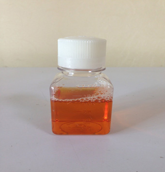 新生牛血清的应用范围