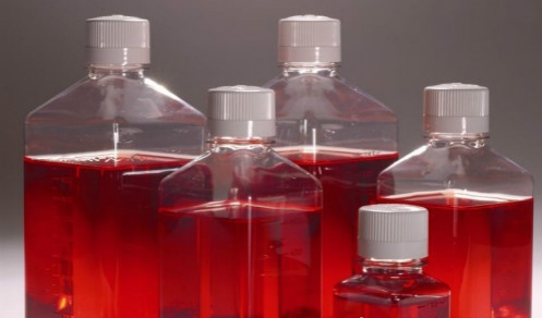 新生牛血清样品采集方法  新生牛血清的应用范围